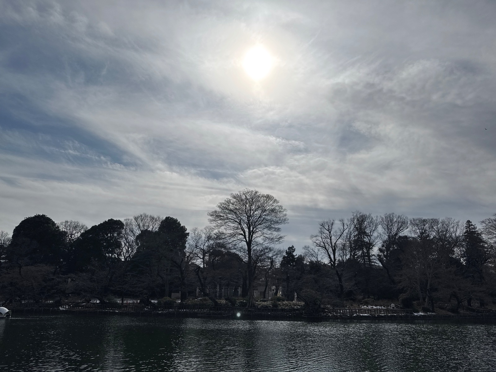 Inokashira Park, Tokyo