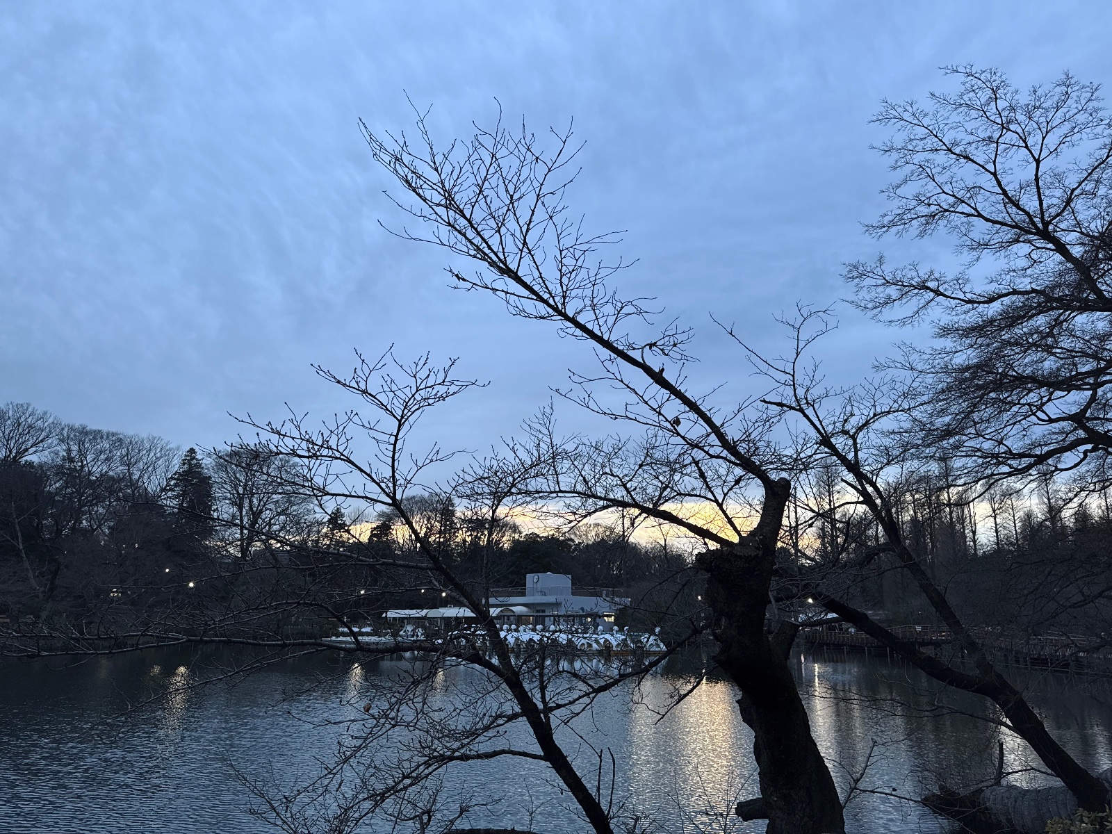 Inokashira Park, Tokyo