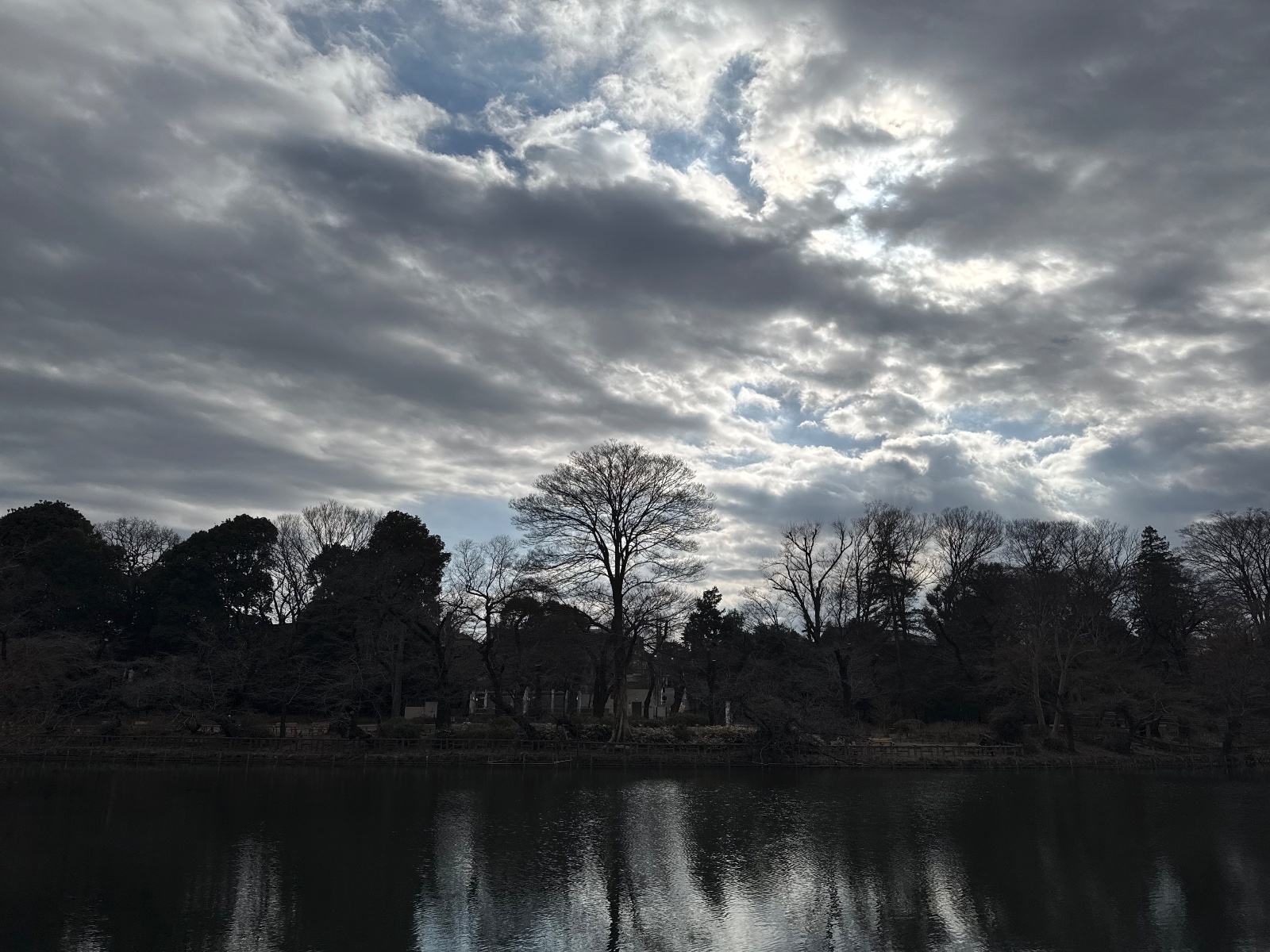 Inokashira Park, Tokyo