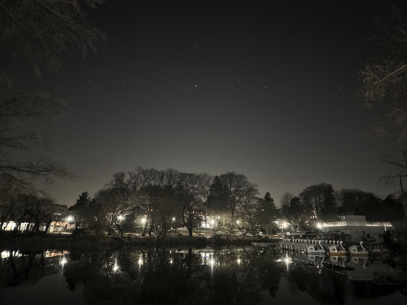 Inokashira Park, Tokyo