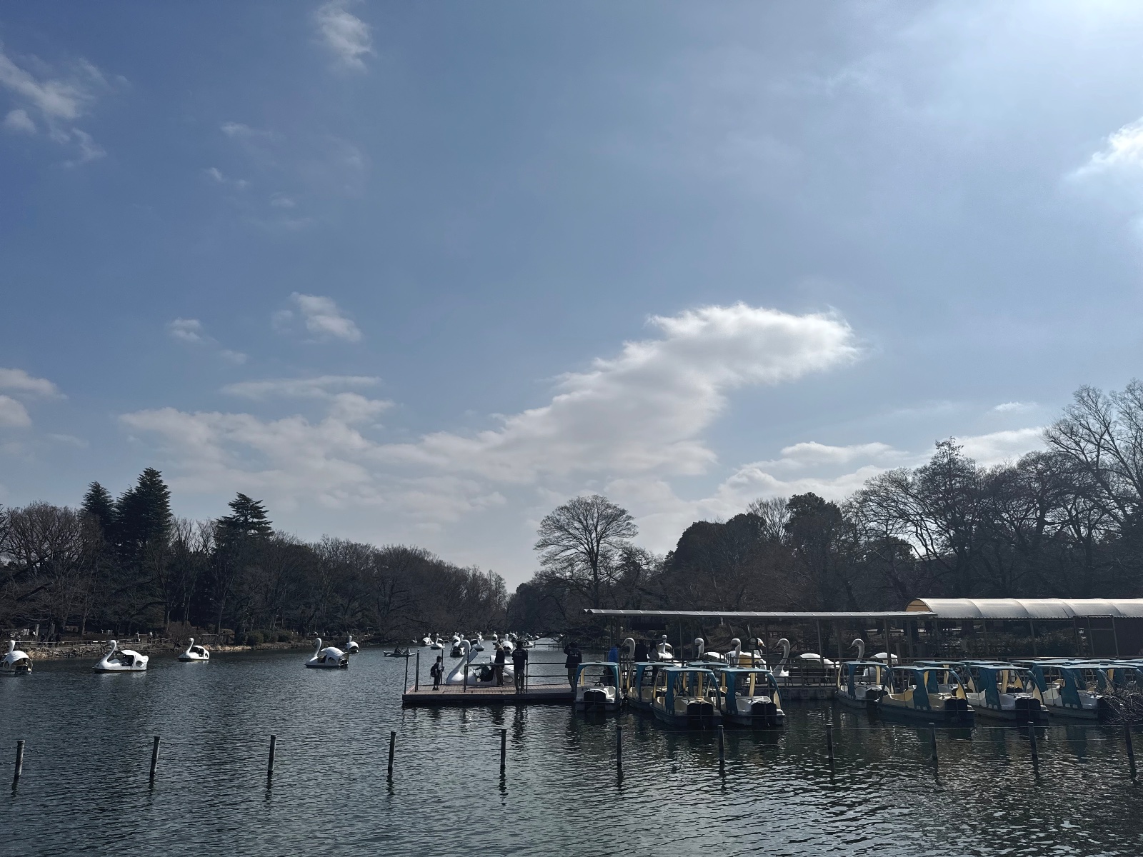 Inokashira Park, Tokyo