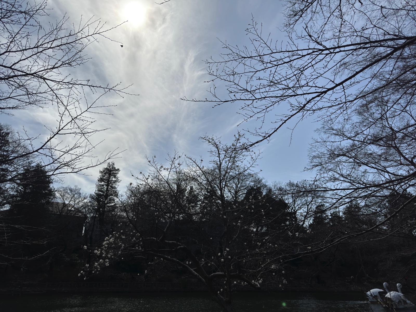 Inokashira Park, Tokyo