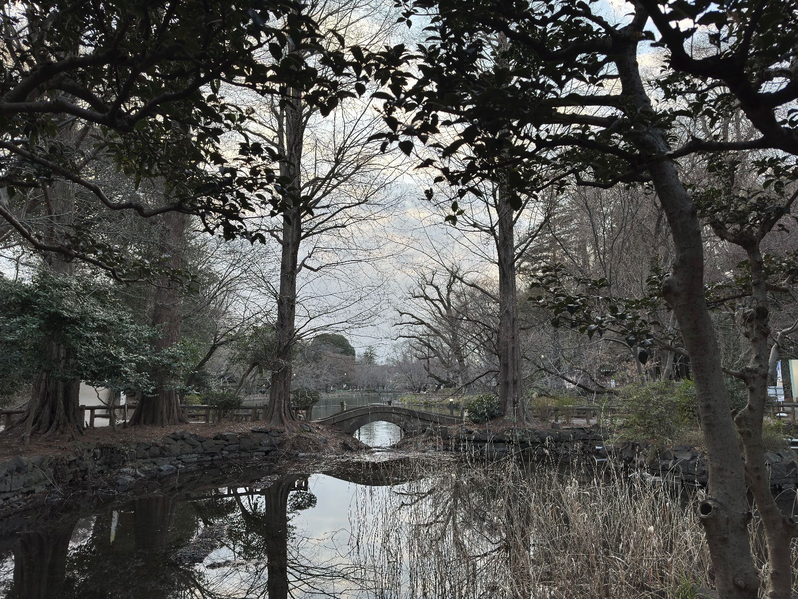 Inokashira Park, Tokyo