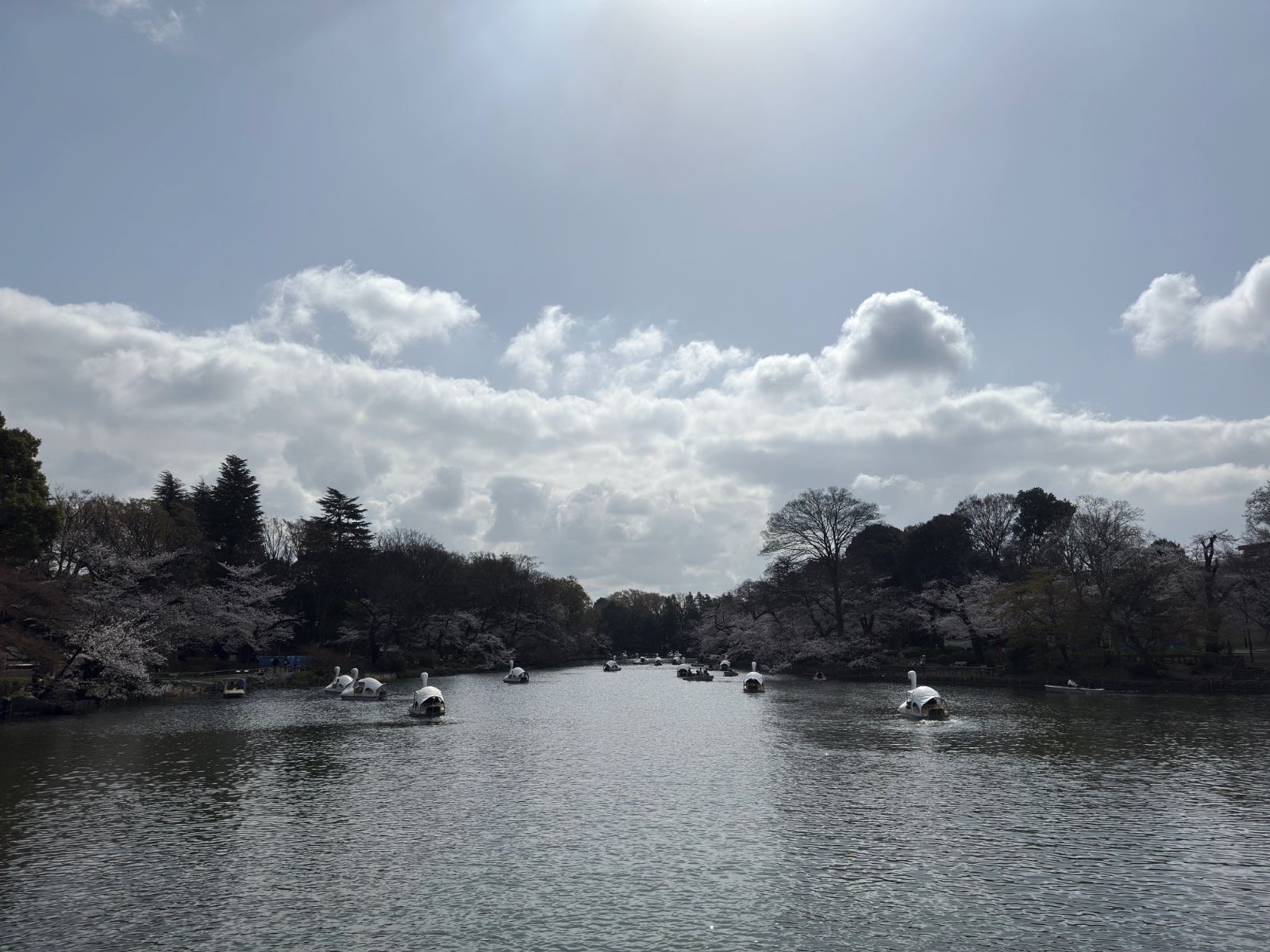 Inokashira Park, Tokyo