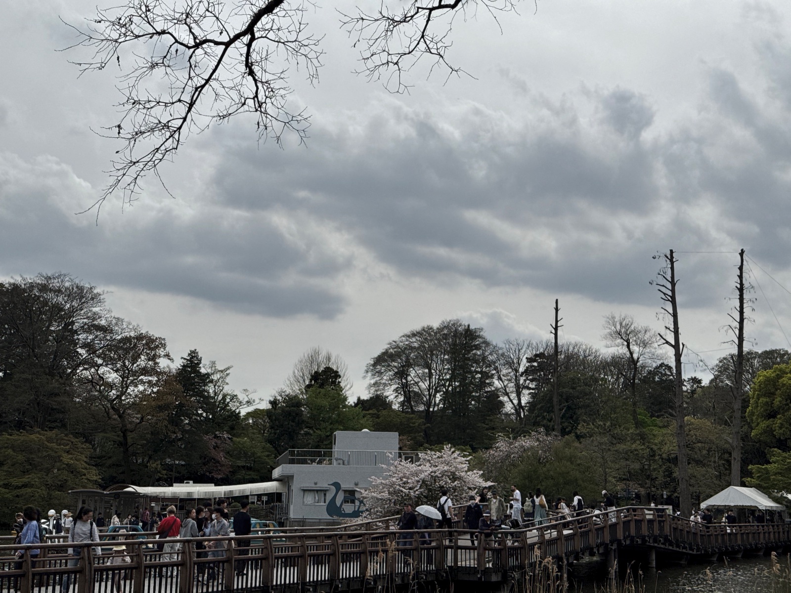 Inokashira Park, Tokyo