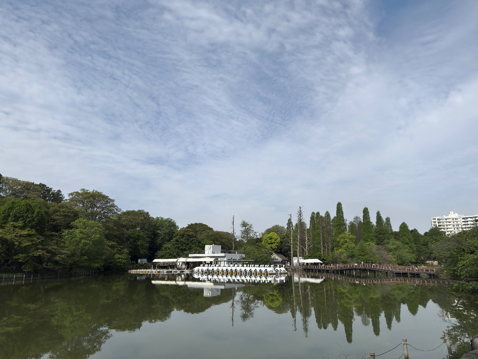 Inokashira Park, Tokyo