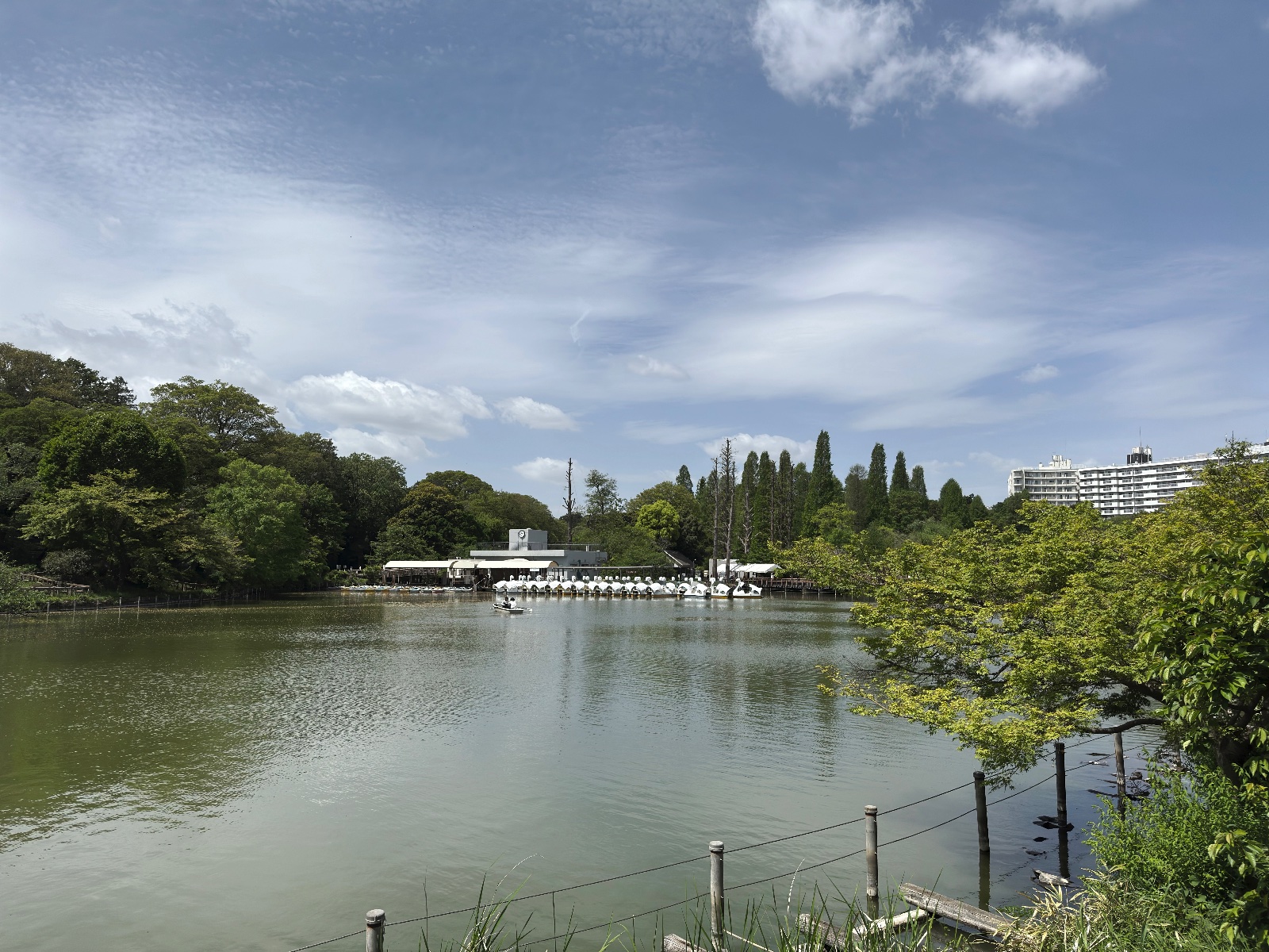 Inokashira Park, Tokyo