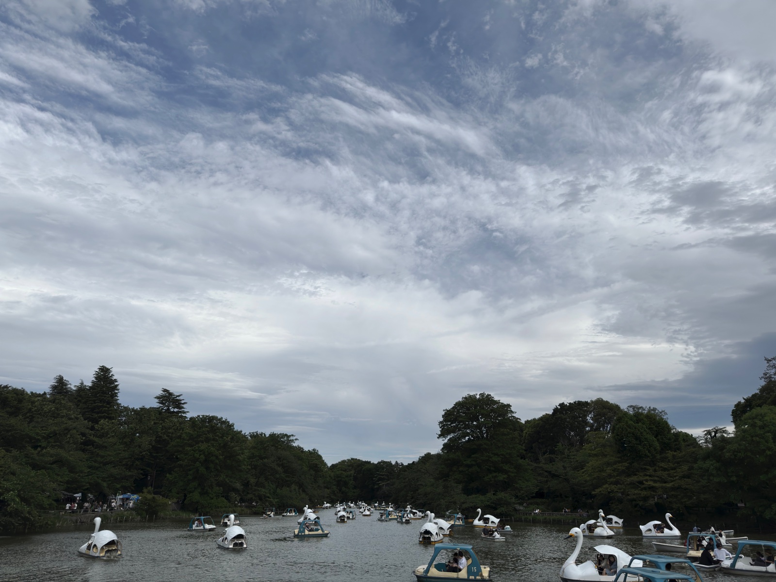 Inokashira Park, Tokyo