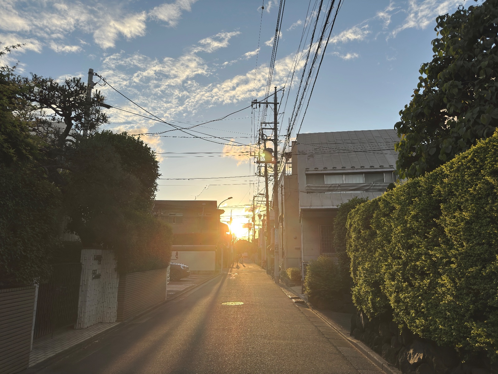 Inokashira, Tokyo
