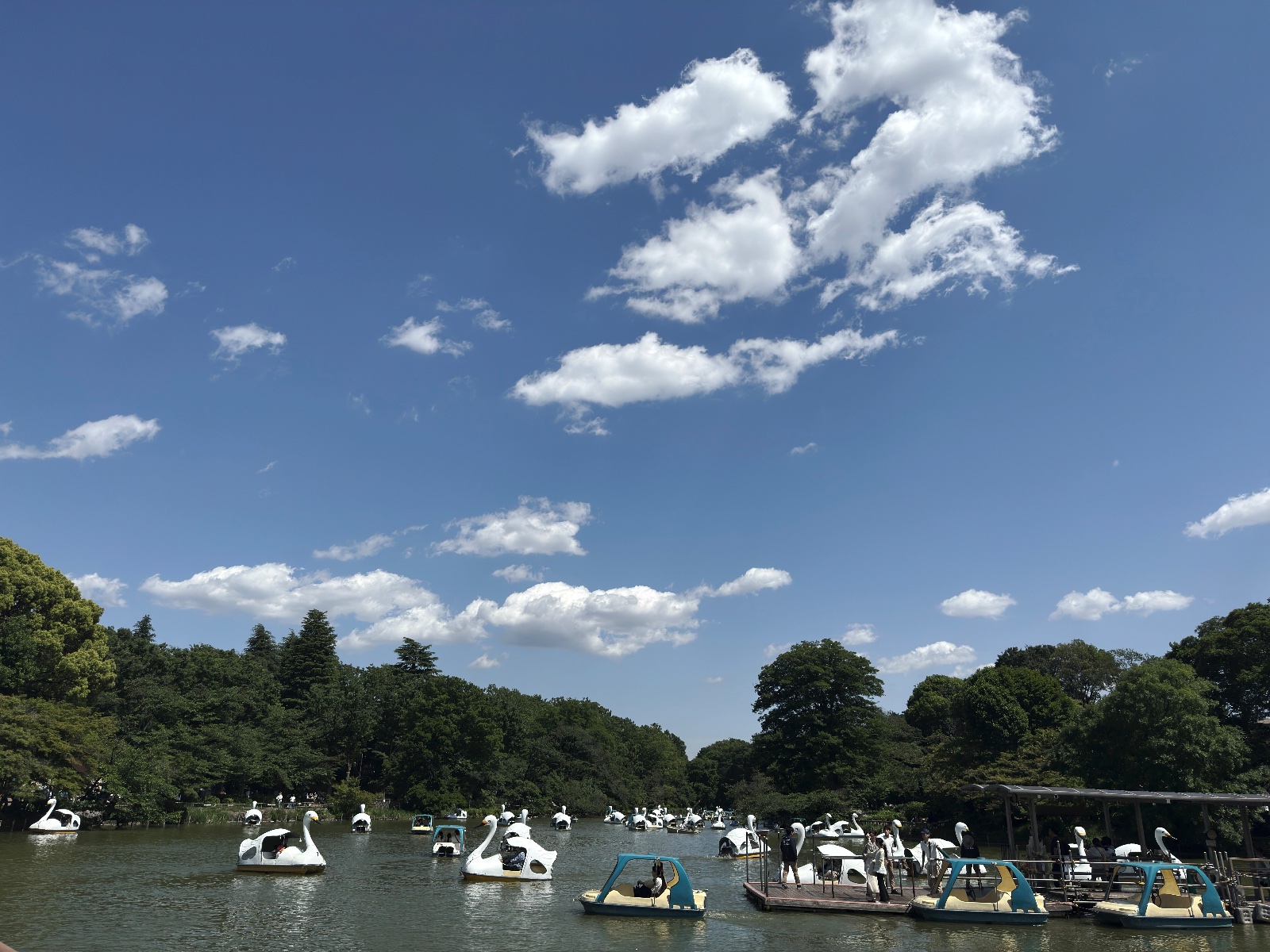 Inokashira Park, Tokyo