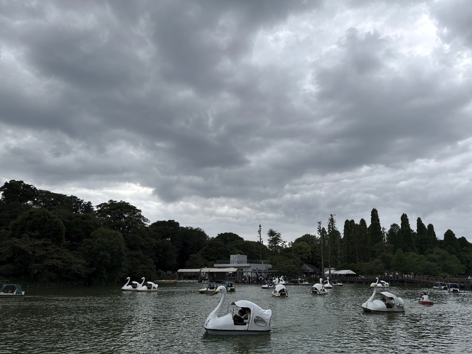 Inokashira Park, Tokyo