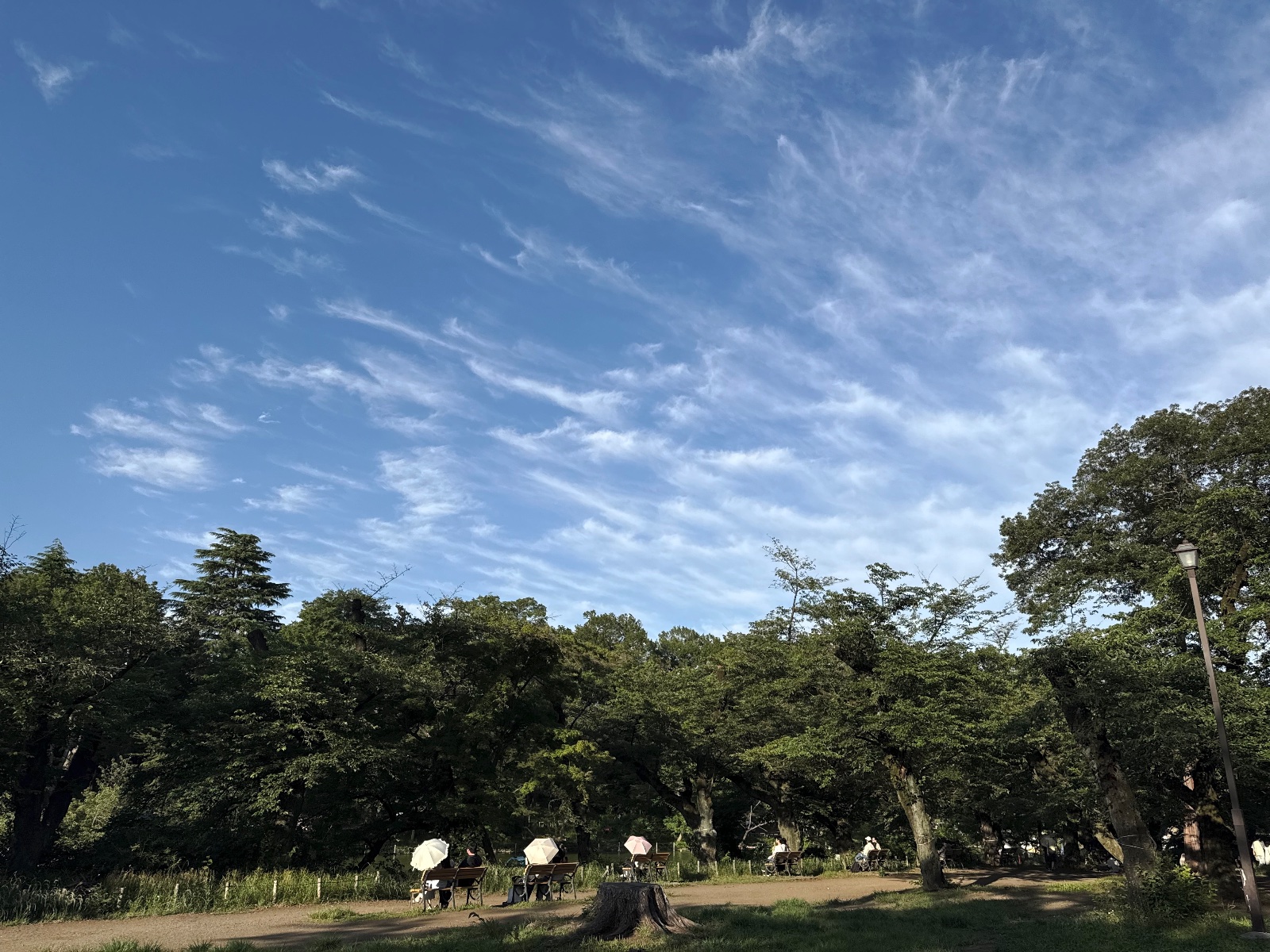 Inokashira Park, Tokyo