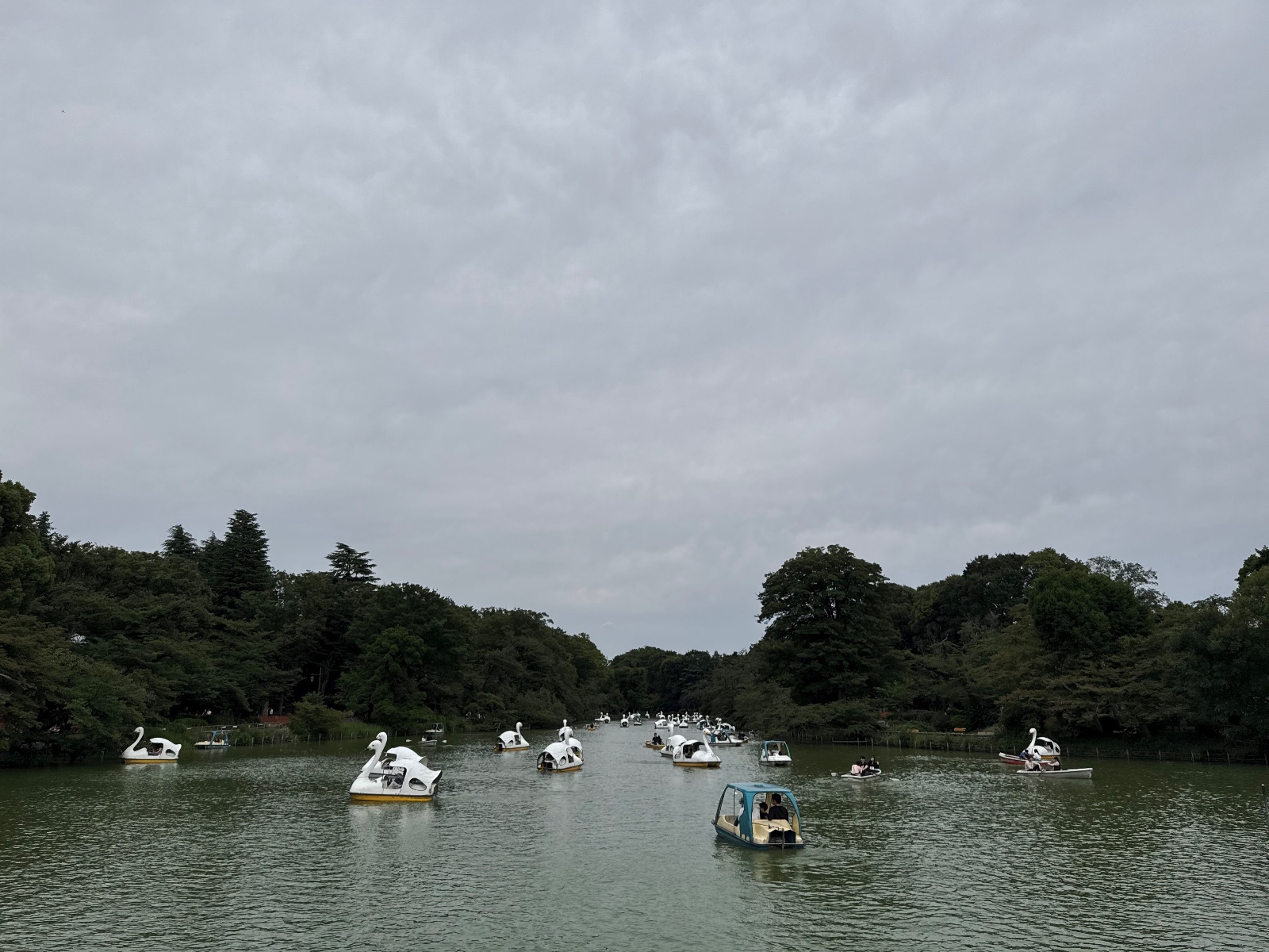 Inokashira Park, Tokyo