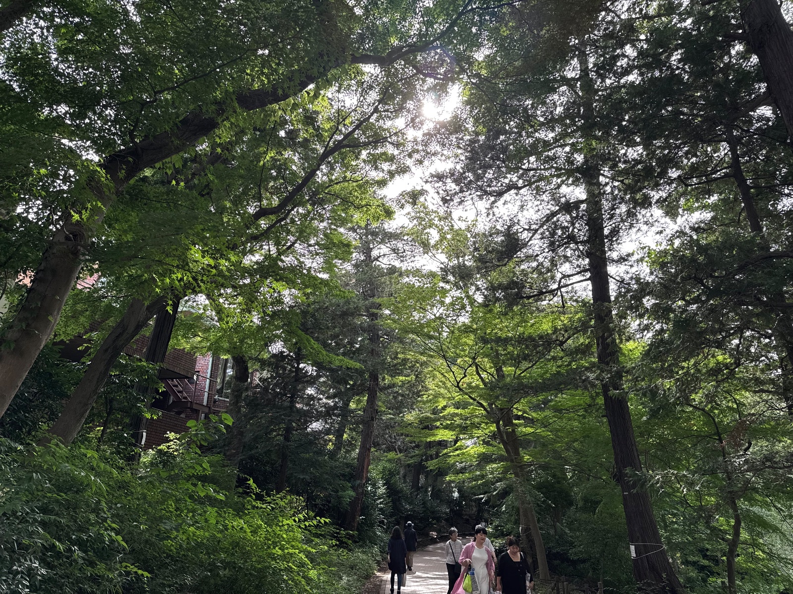 Inokashira Park, Tokyo