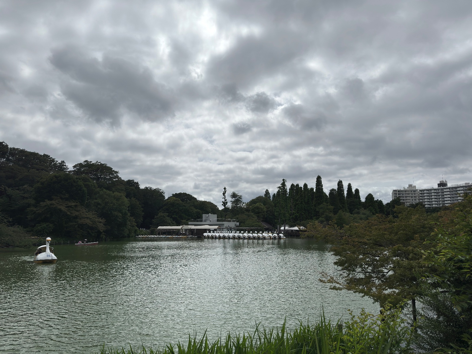Inokashira Park, Tokyo