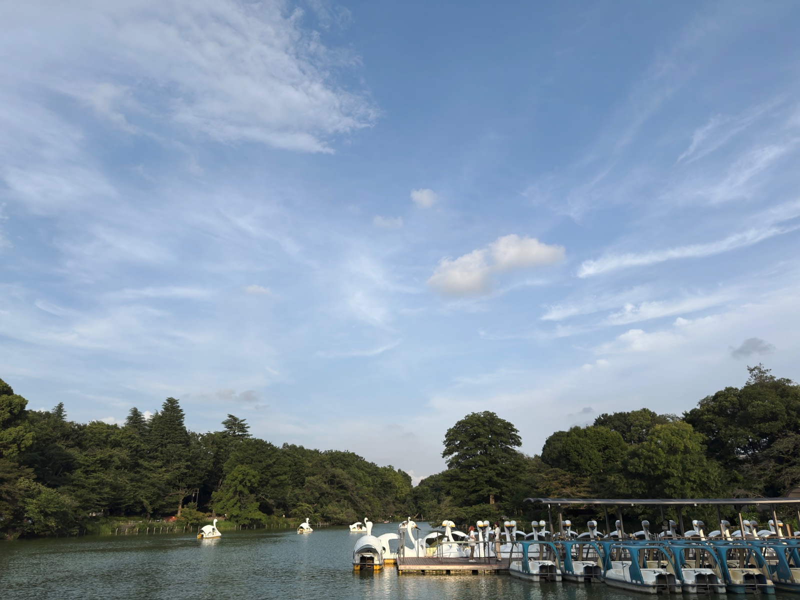 Inokashira Park, Tokyo