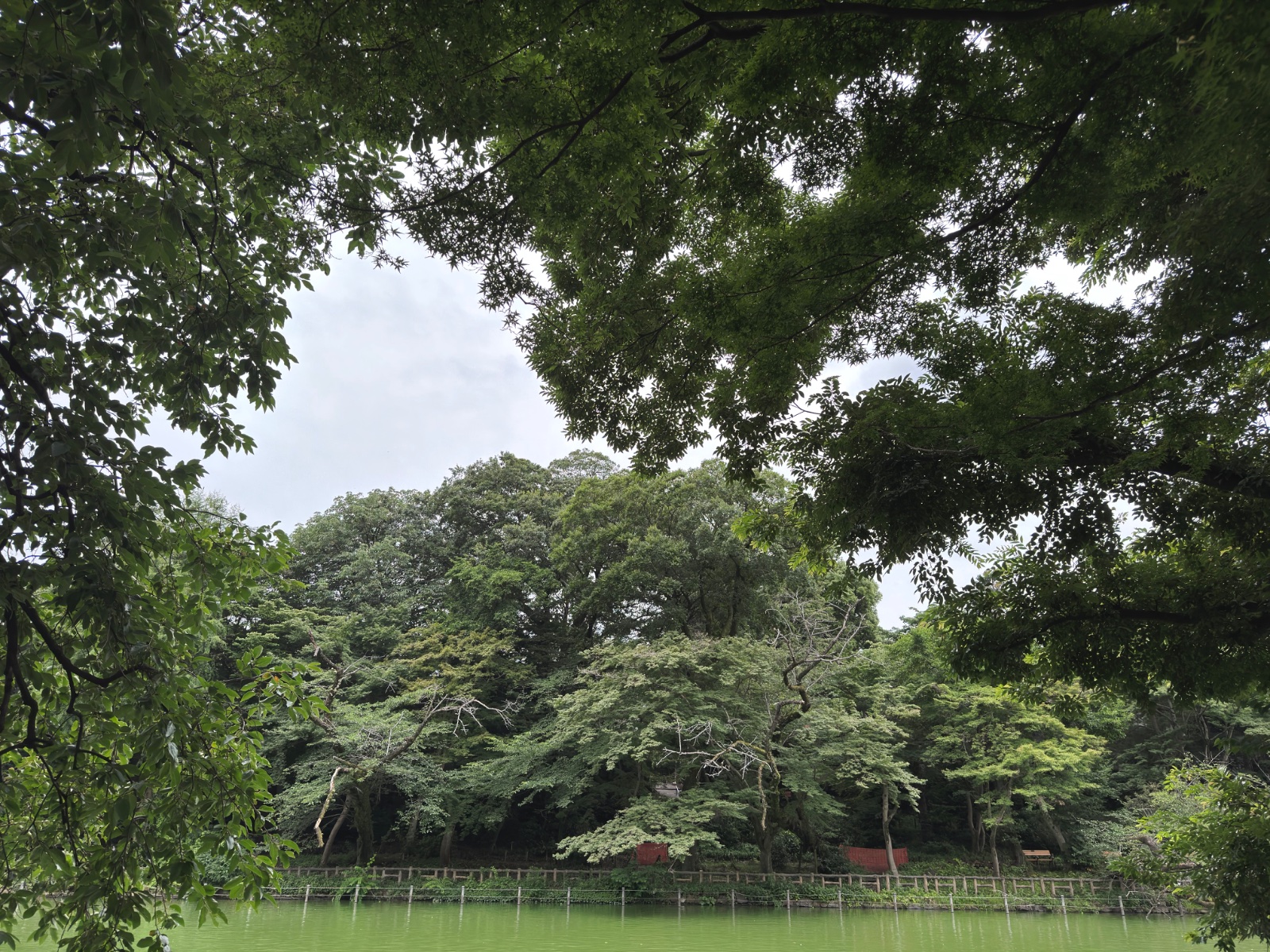 Inokashira Park, Tokyo