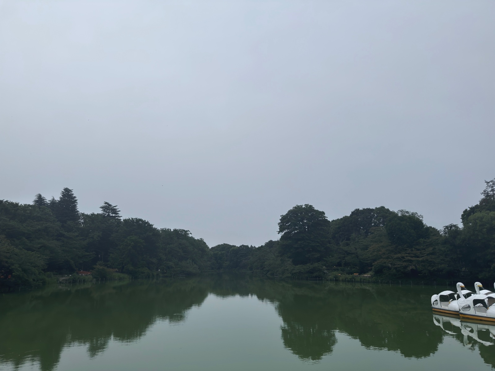 Inokashira Park, Tokyo