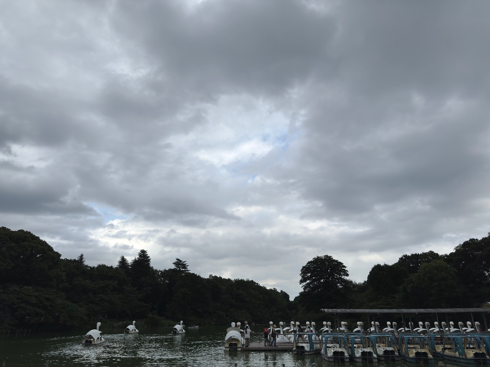 Inokashira Park, Tokyo