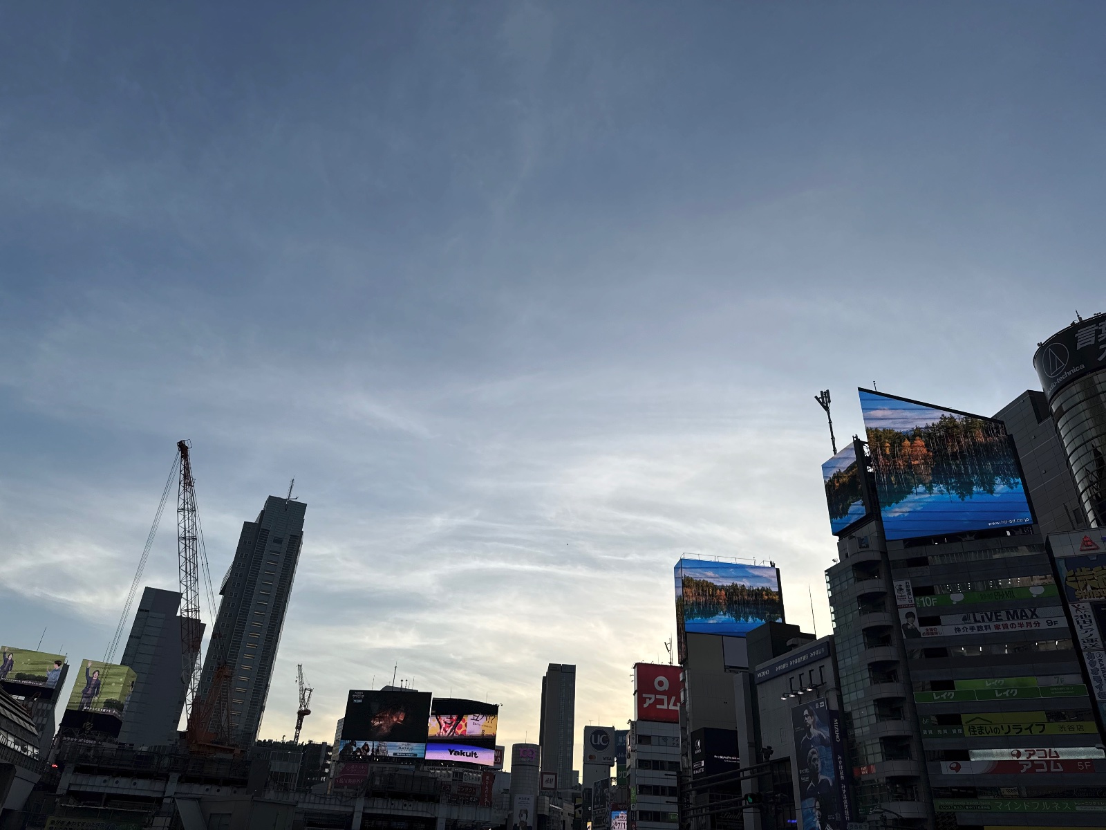 Shibuya, Tokyo