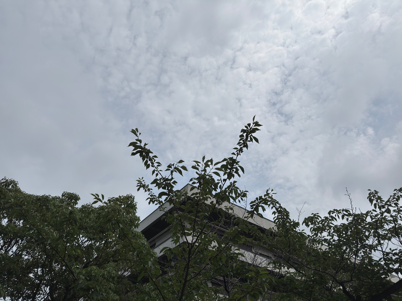 National Diet Library, Tokyo
