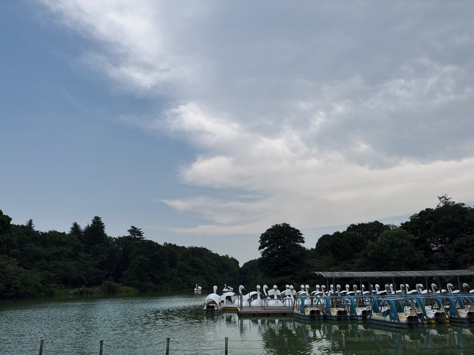 Inokashira Park, Tokyo