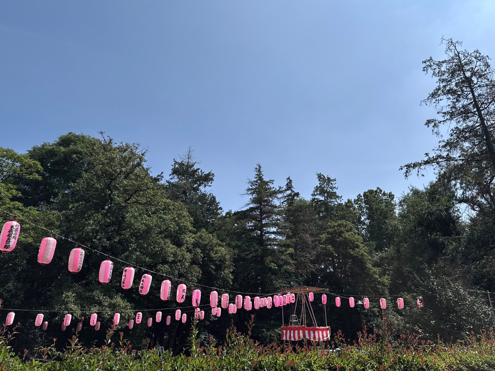 Inokashira Park, Tokyo