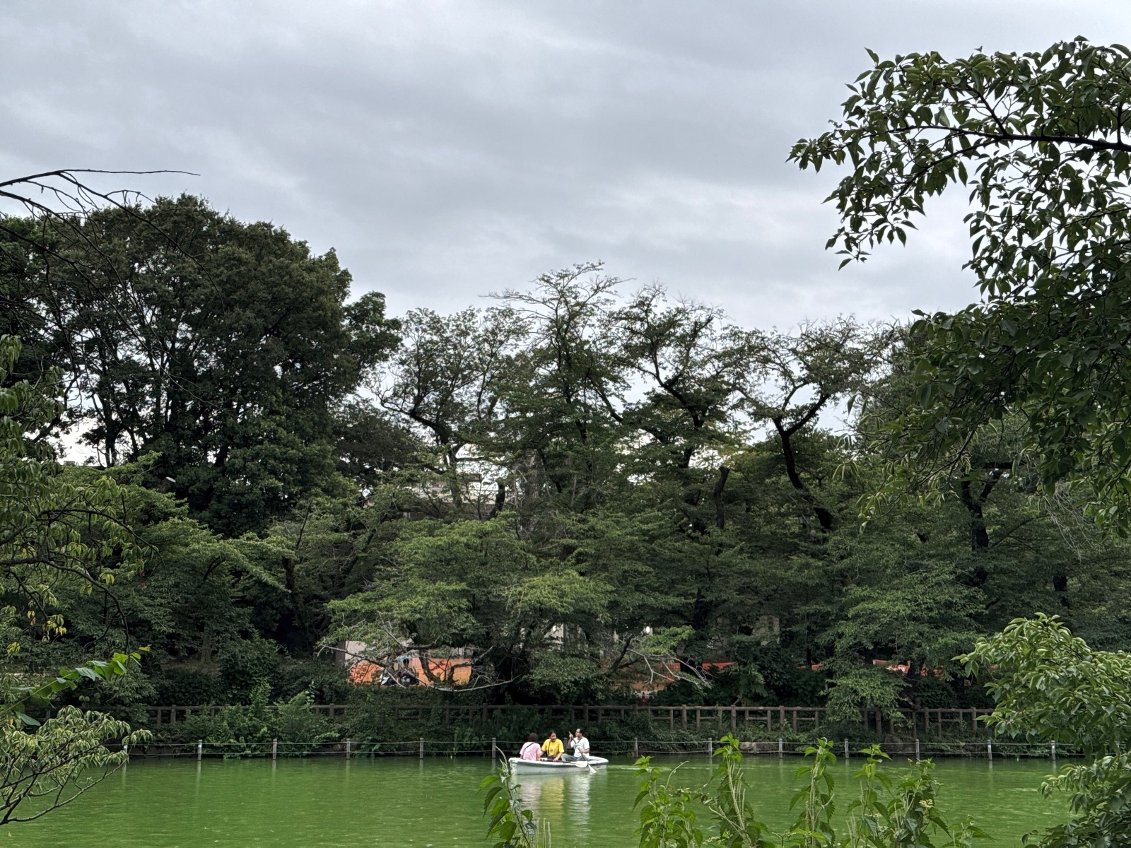 Inokashira Park, Tokyo