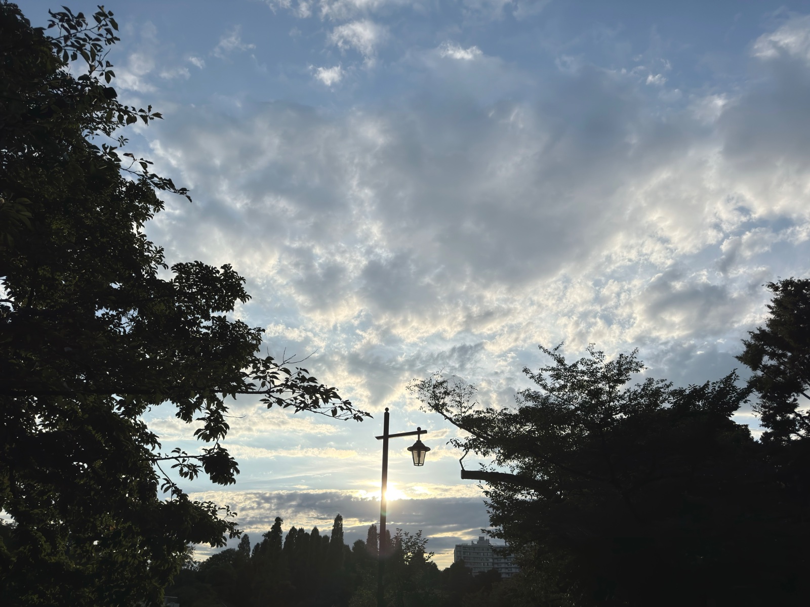 Inokashira Park, Tokyo