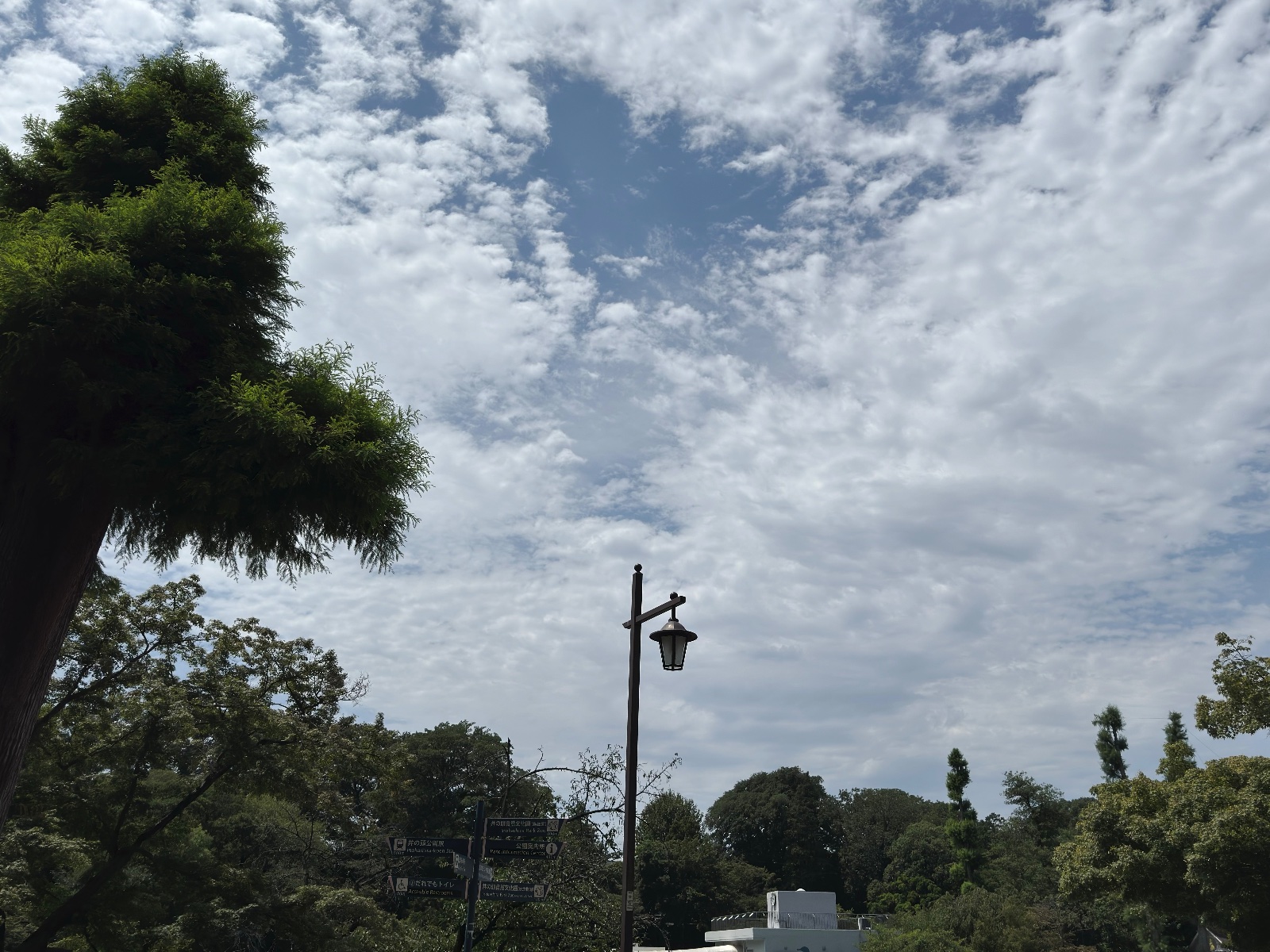 Inokashira Park, Tokyo