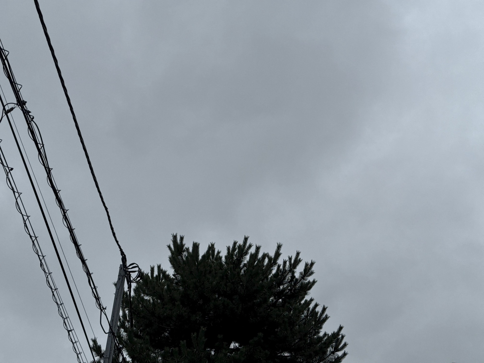 Mitaka, Tokyo