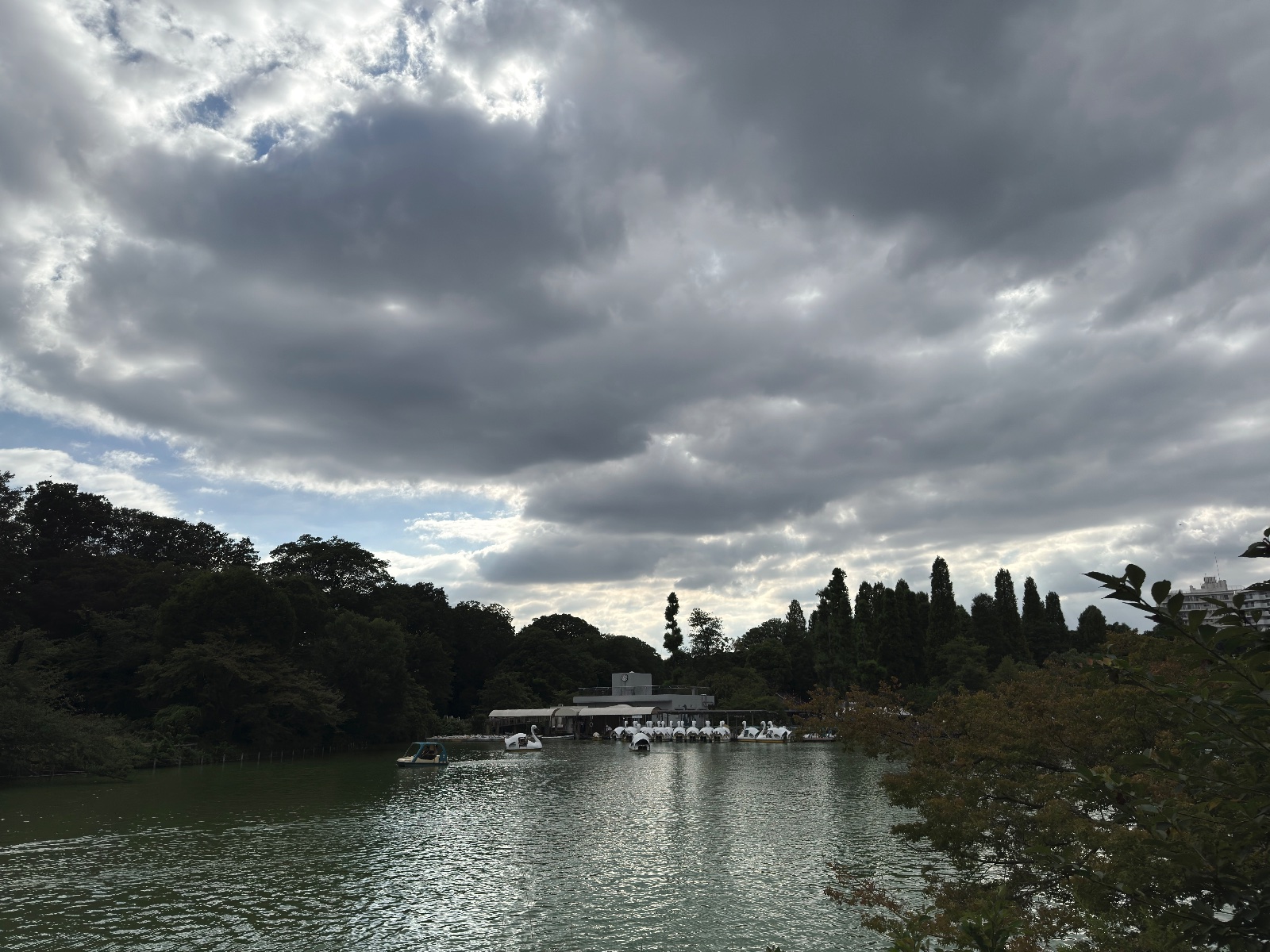 Inokashira Park, Tokyo