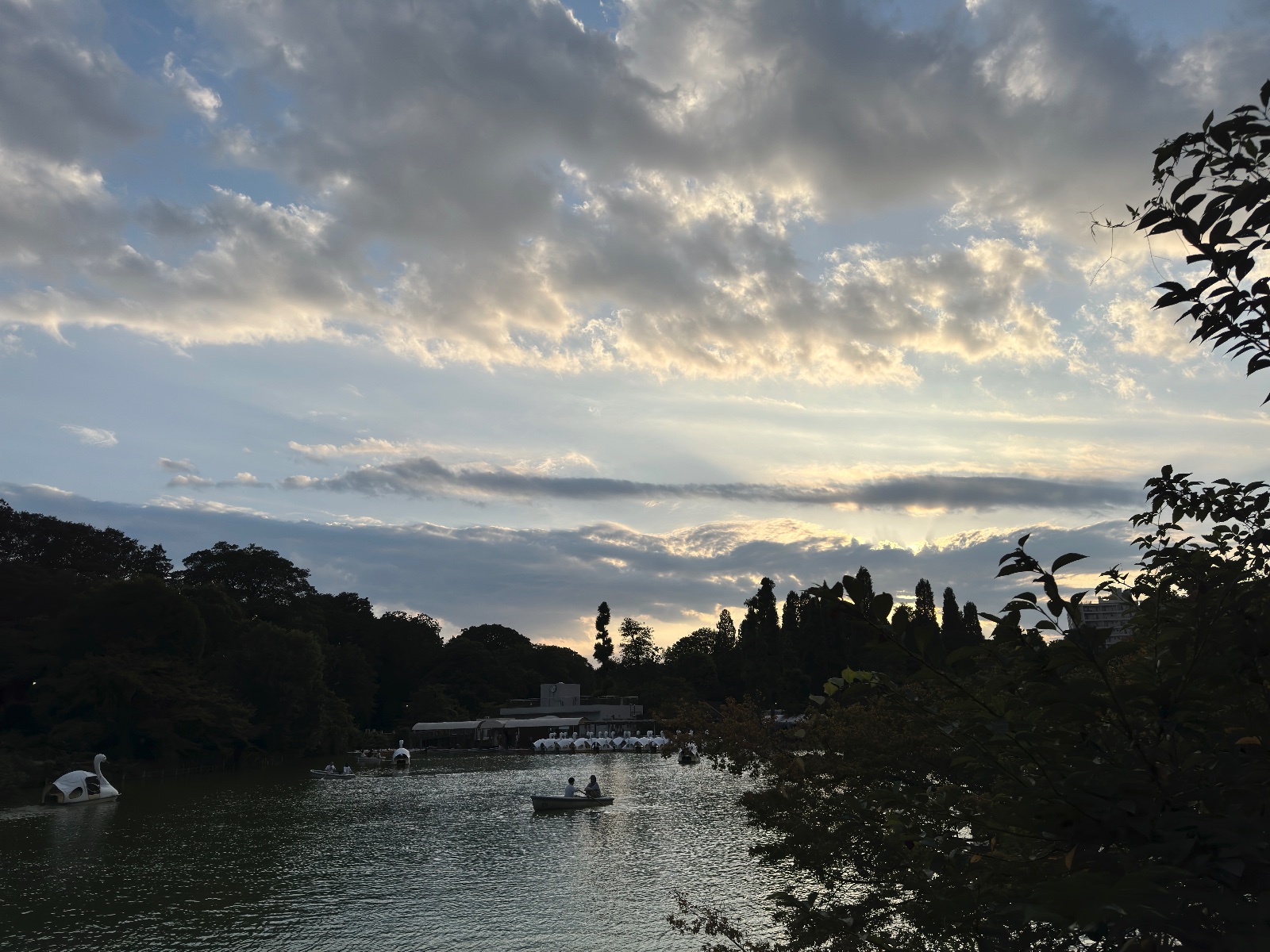 Inokashira Park, Tokyo