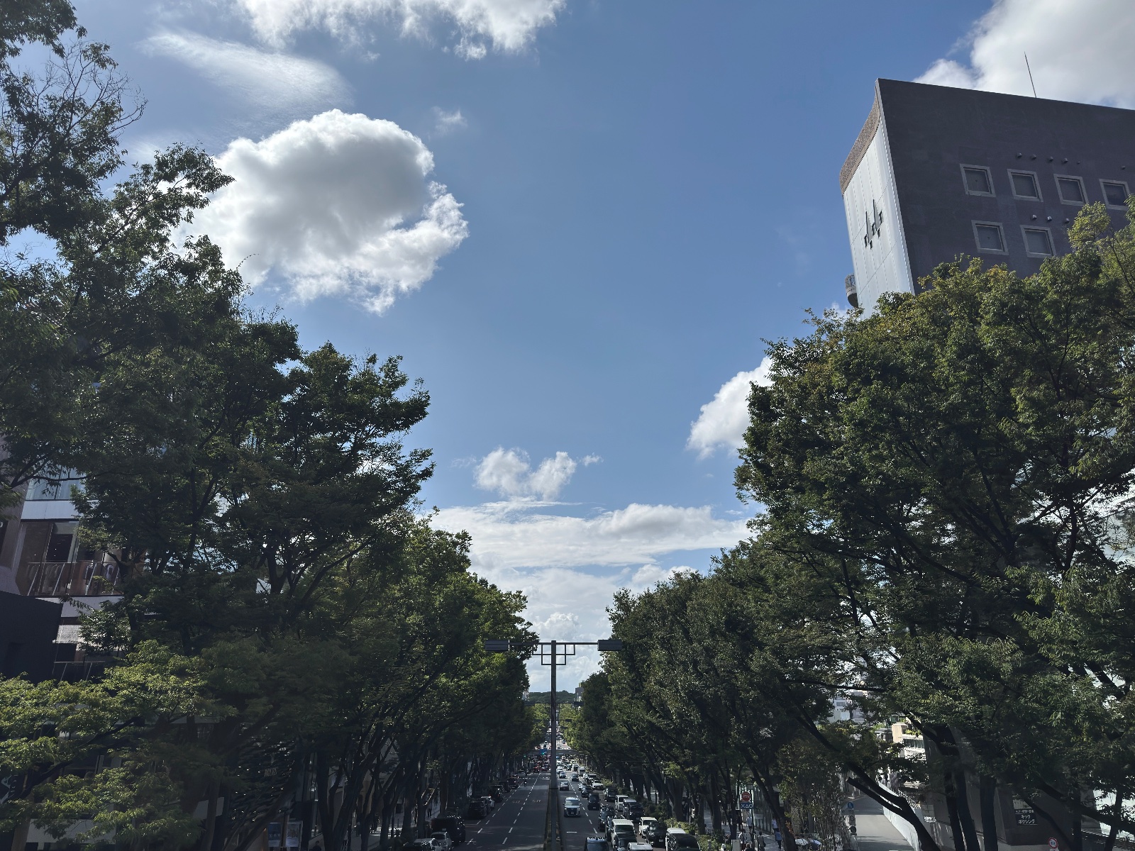 Omotesando, Tokyo