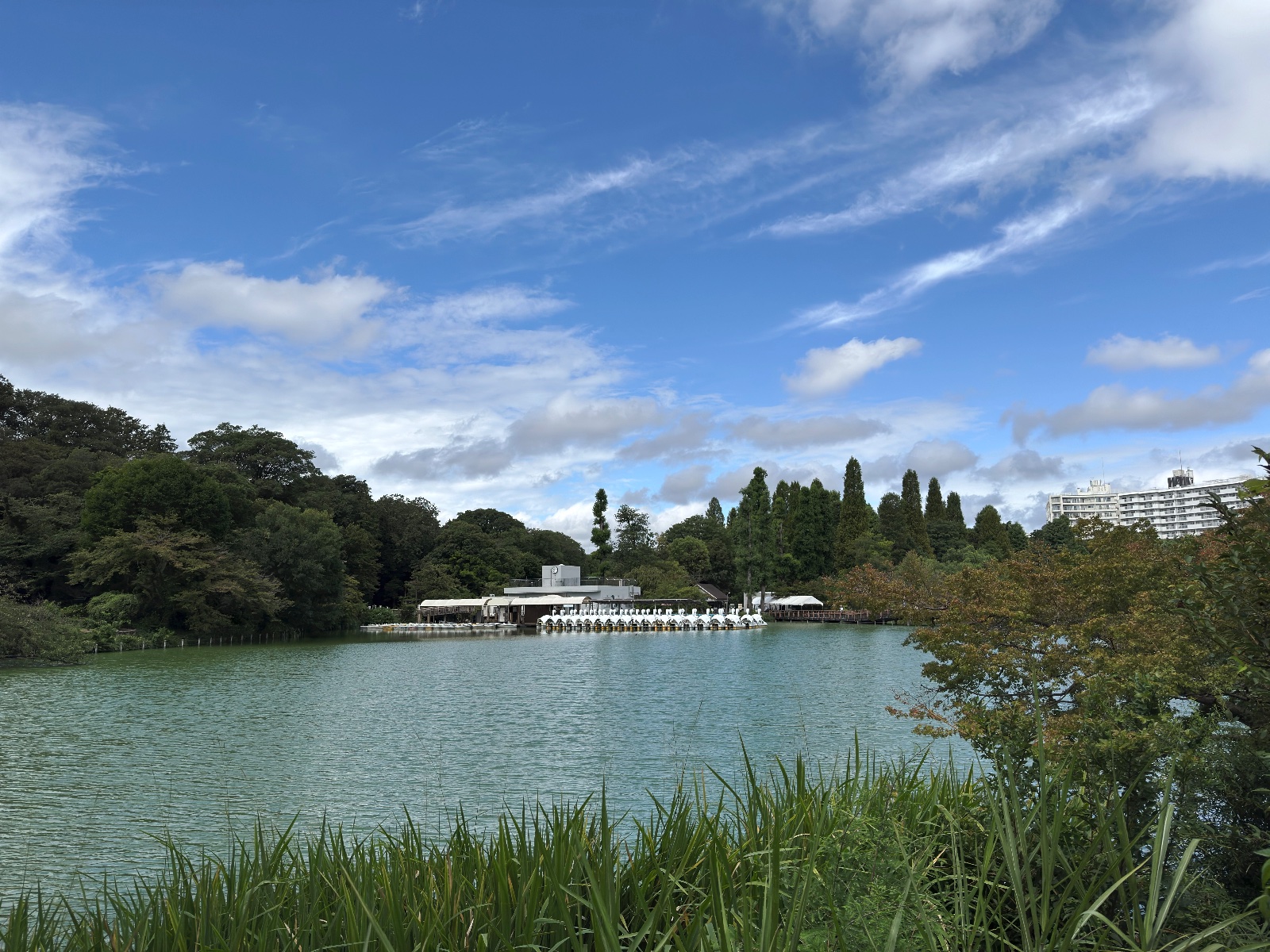 Inokashira Park, Tokyo