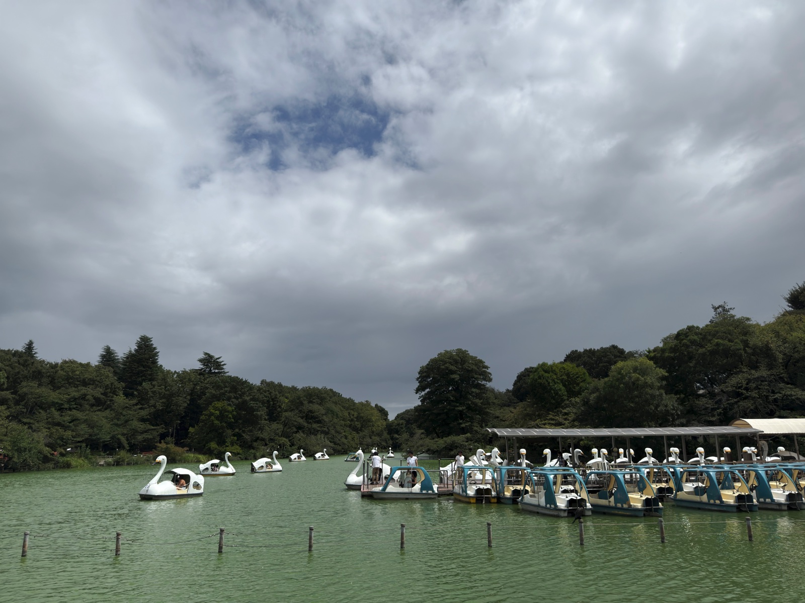 Inokashira Park, Tokyo