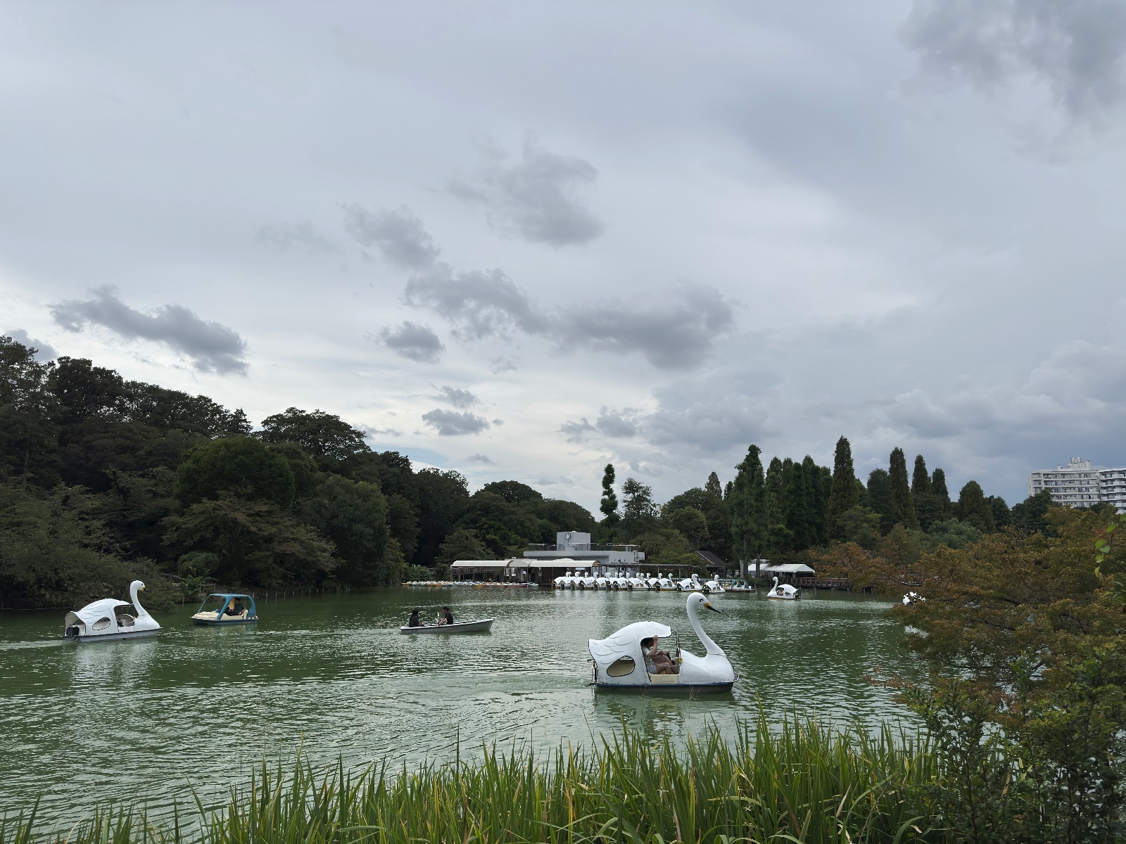 Inokashira Park, Tokyo