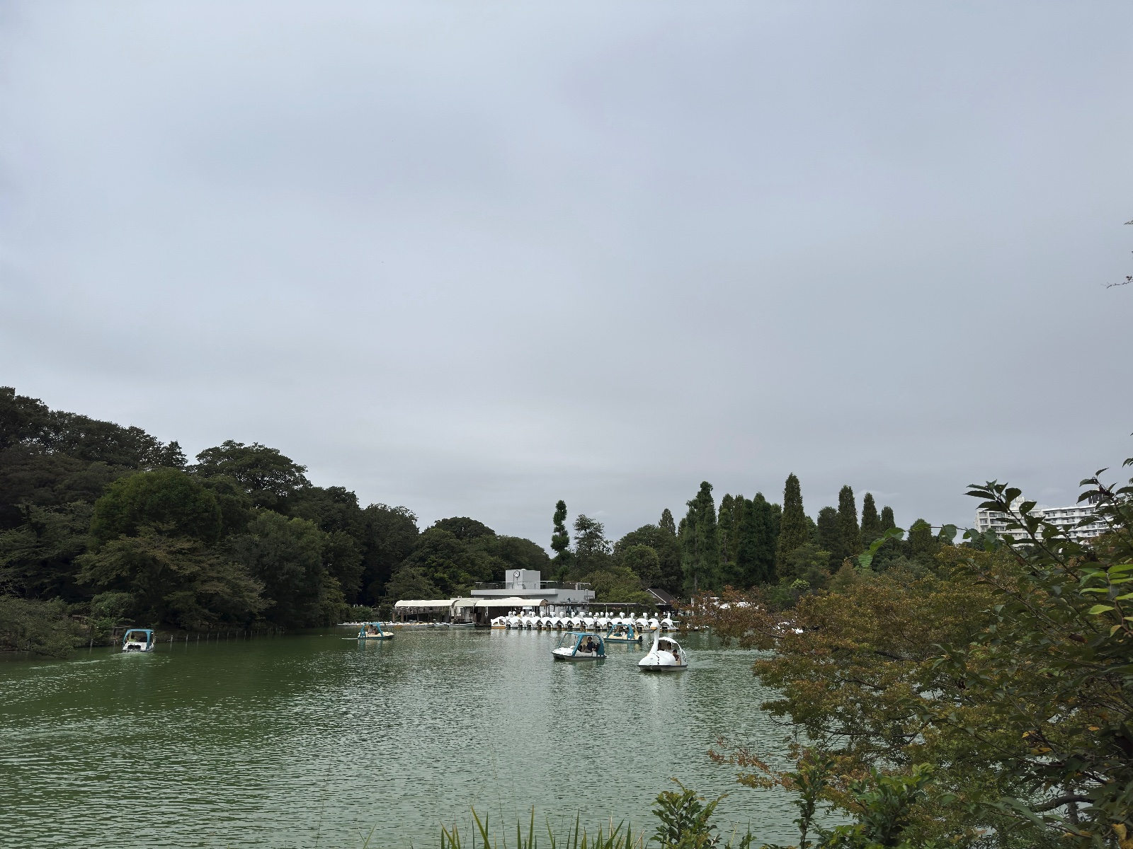 Inokashira Park, Tokyo