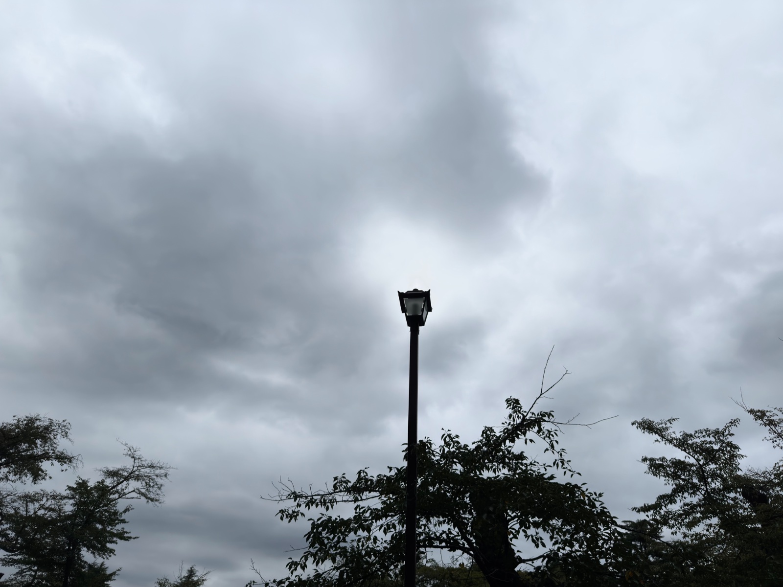 Inokashira Park, Tokyo