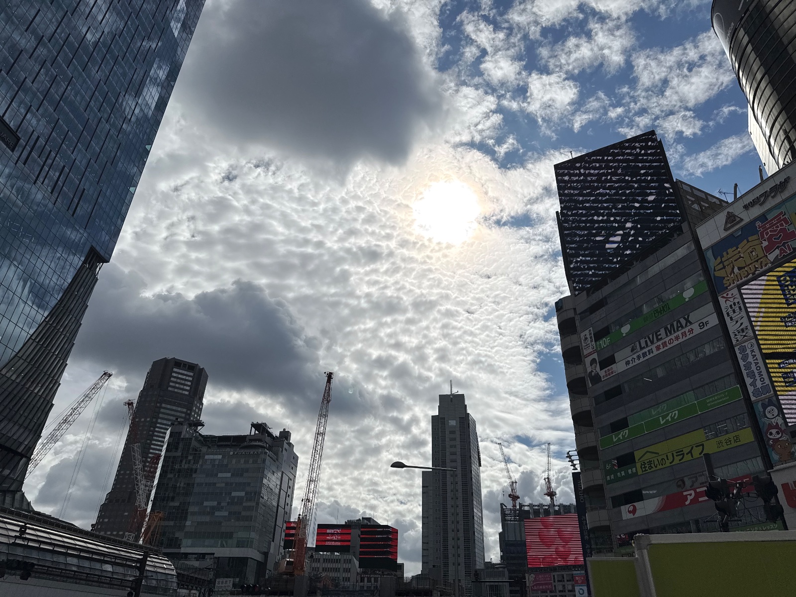 Shibuya, Tokyo