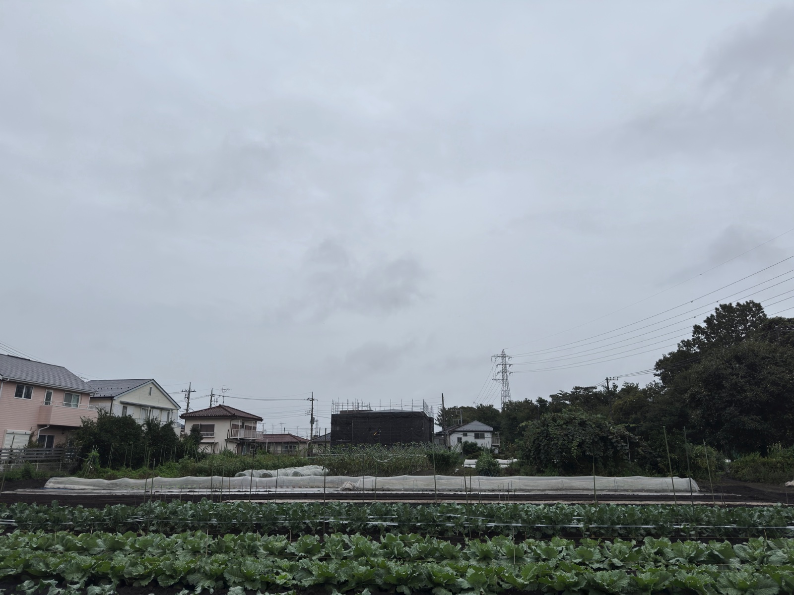 Mitaka, Tokyo