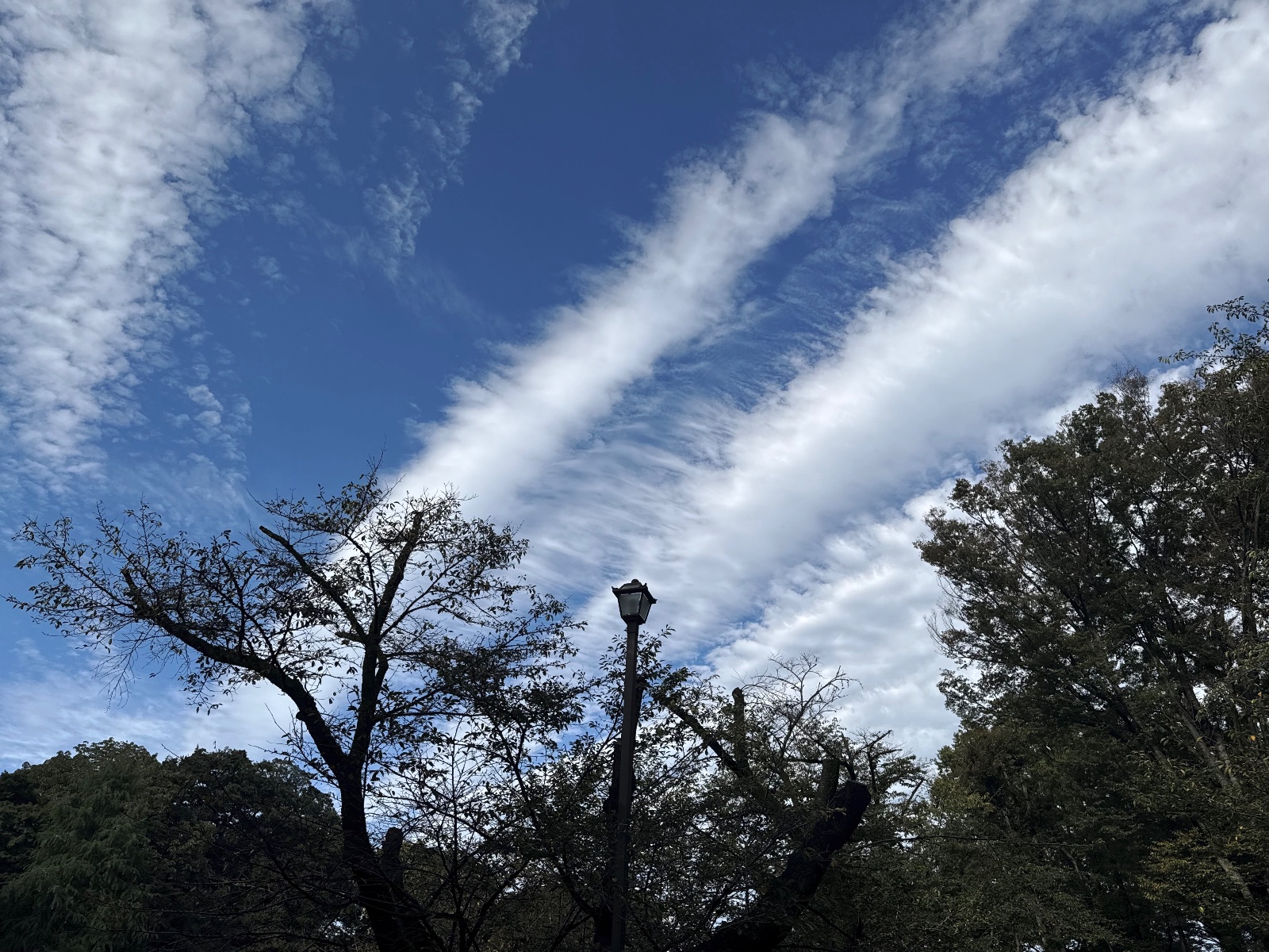 Inokashira Park, Tokyo