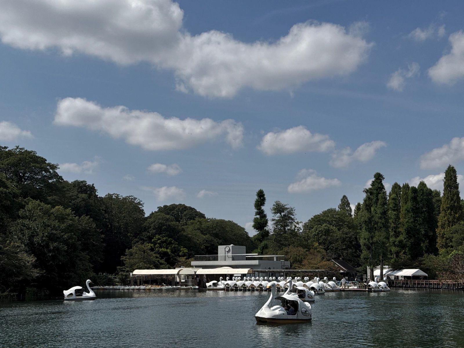 Inokashira Park, Tokyo