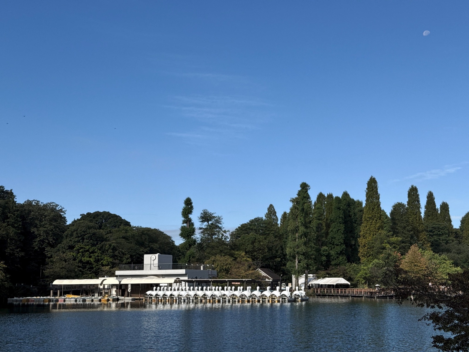 Inokashira Park, Tokyo