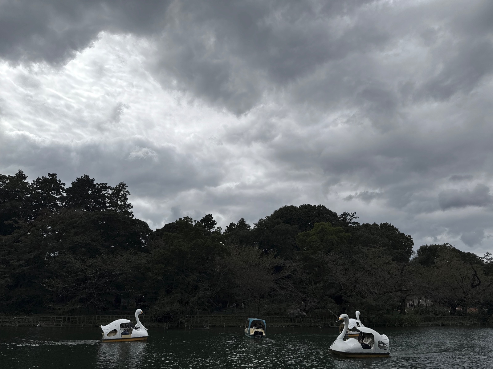 Inokashira Park, Tokyo