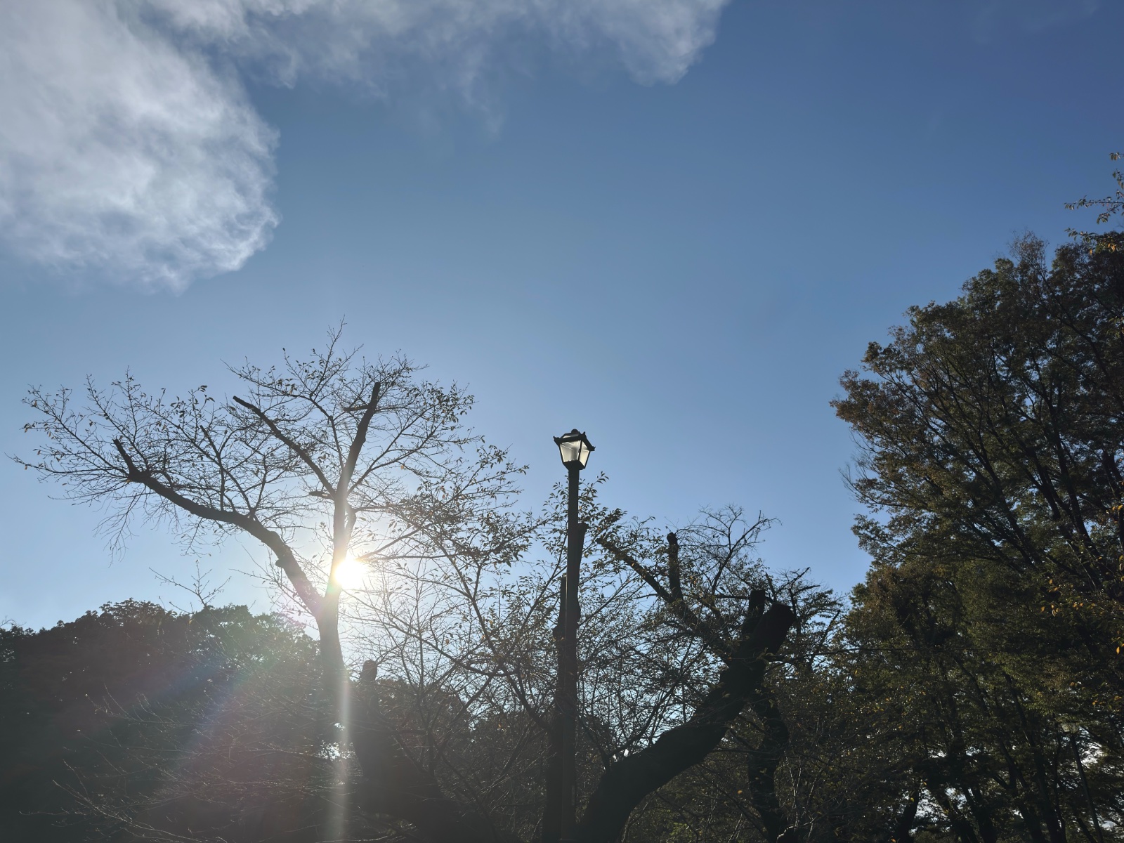 Inokashira Park, Tokyo